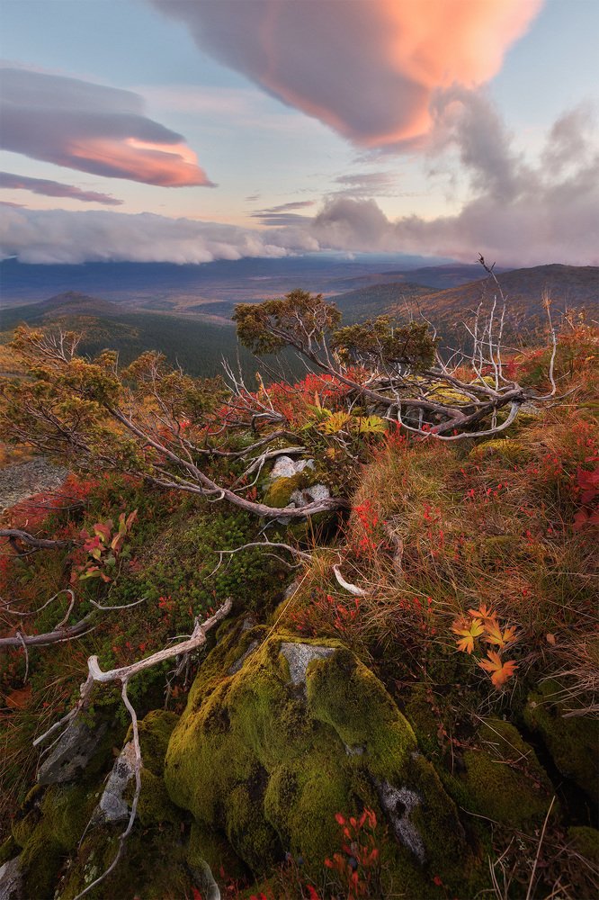 Photograph by Сергей Гарифуллин