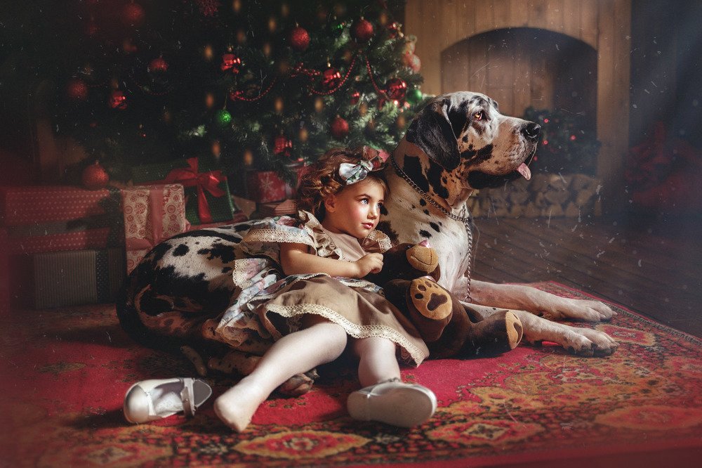 Photograph by Ольга Верхотурова