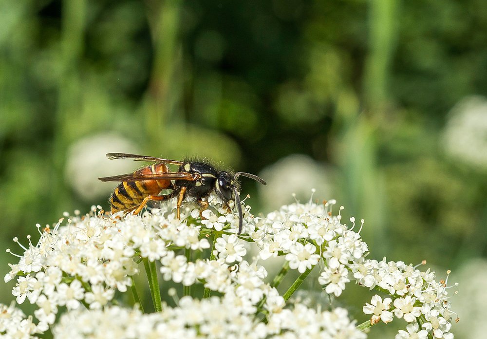 Photograph by Dace Spalviņa