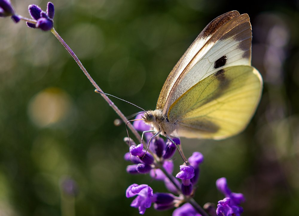 Photograph by Dace Spalviņa