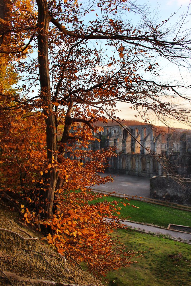 Photograph by Наталья Гайдар