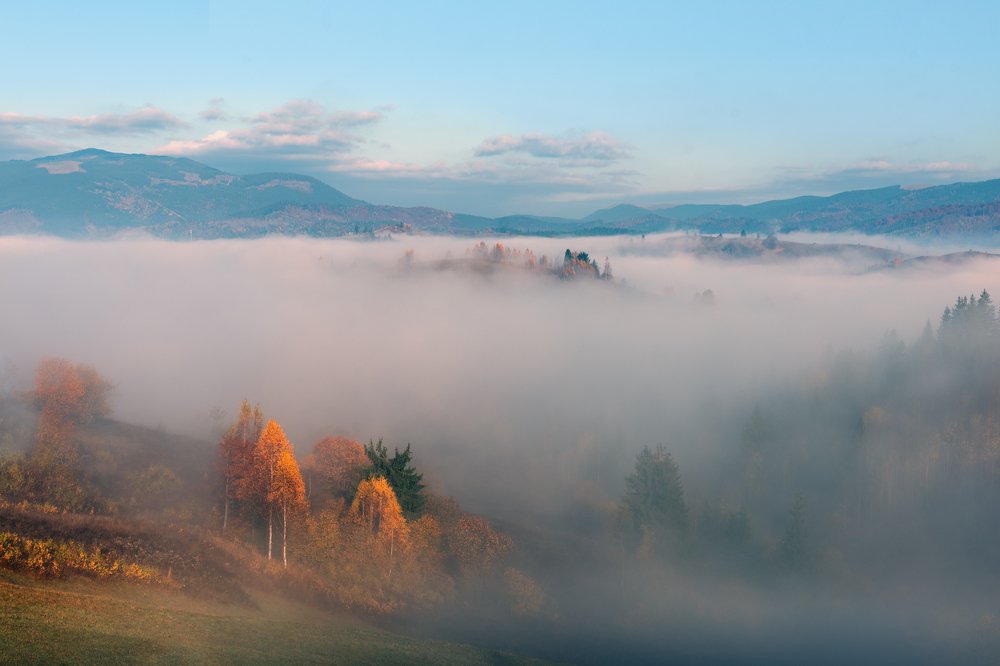 Photograph by Крицак Ольга