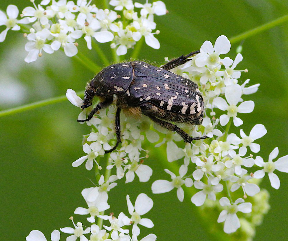 Photograph by Алексей Герасимов