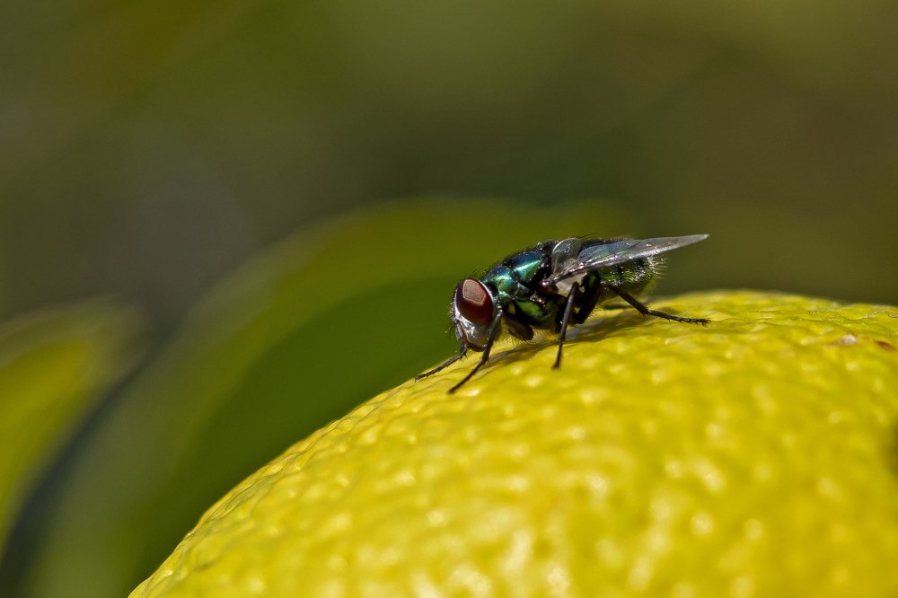 Photograph by selçuk kayan