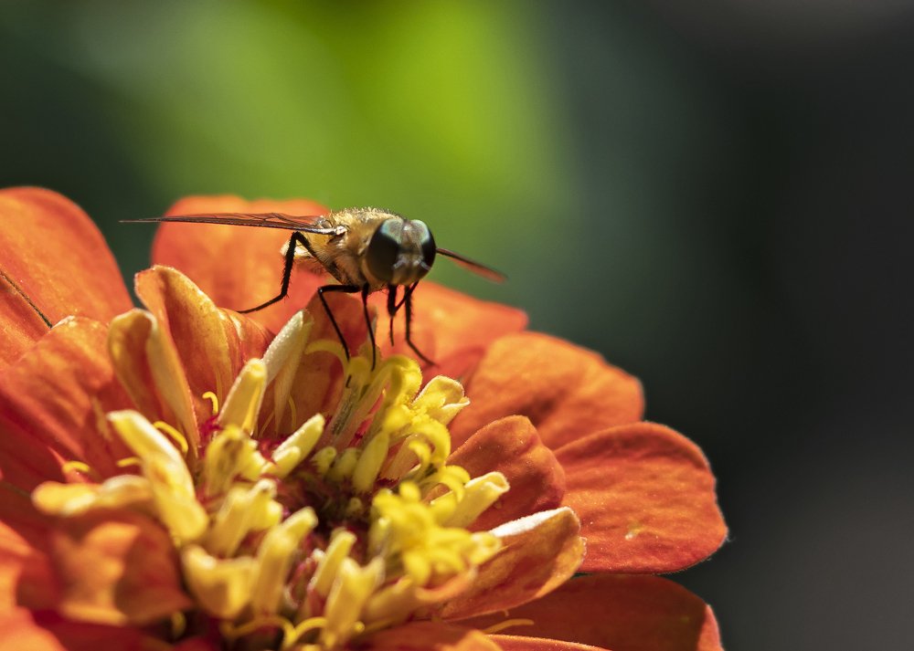 Photograph by selçuk kayan