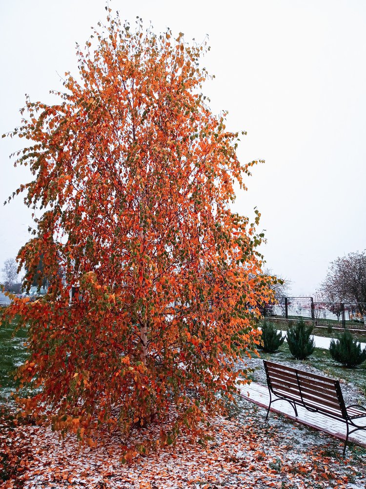 Photograph by Оля Белоусова