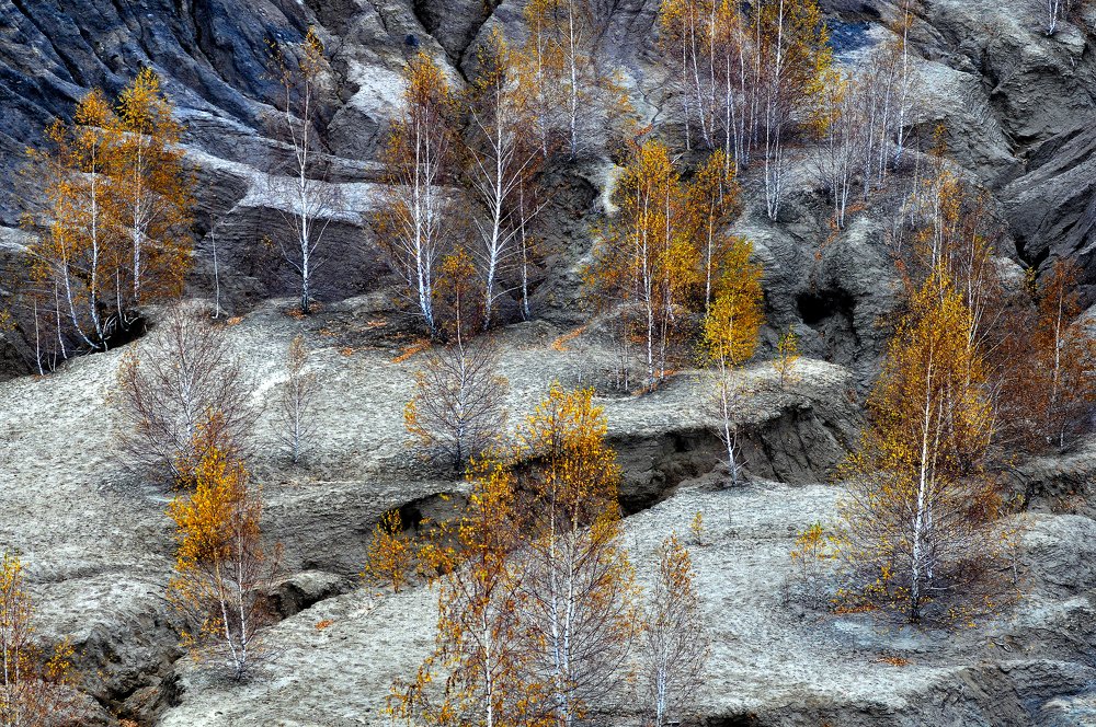 Фотография автора Ковяк Сергей Васильевич