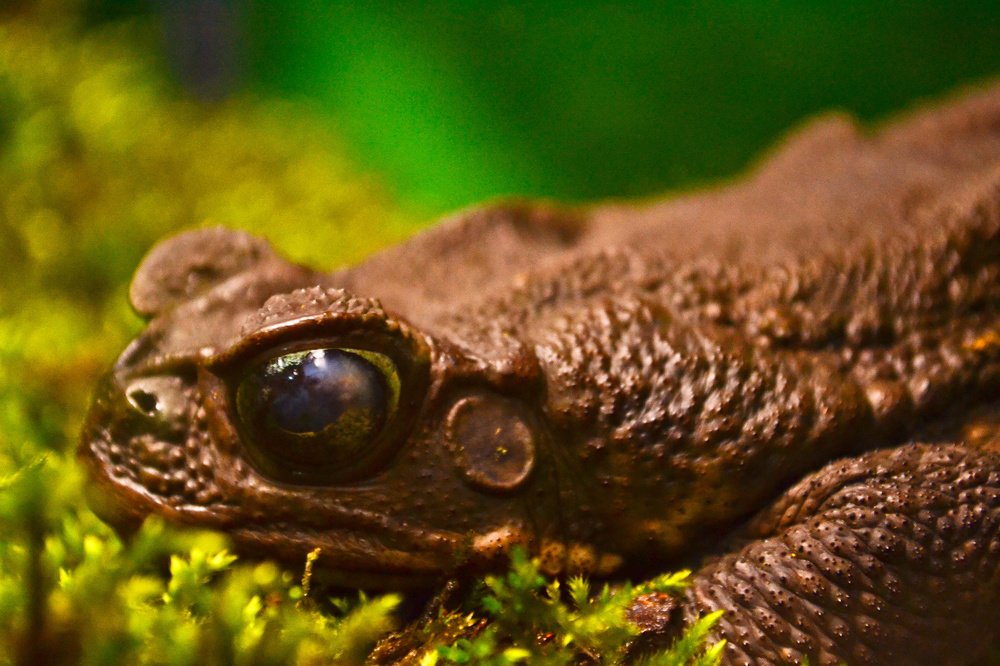 Photograph by Мика Саркисова