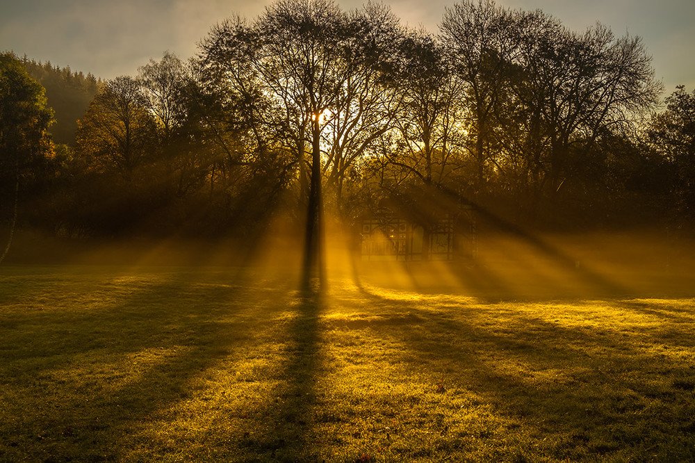 Photograph by Виктория Солодар