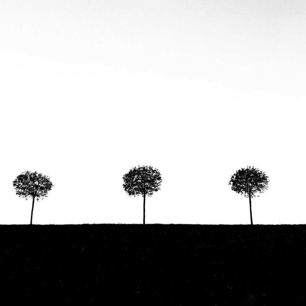 Фотография автора Мария Трасковская