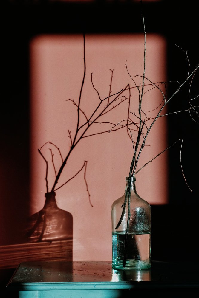 Photograph by Ольга Воронова