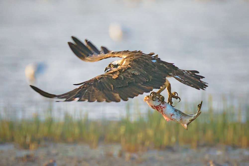 Фотография автора Maurice Leung