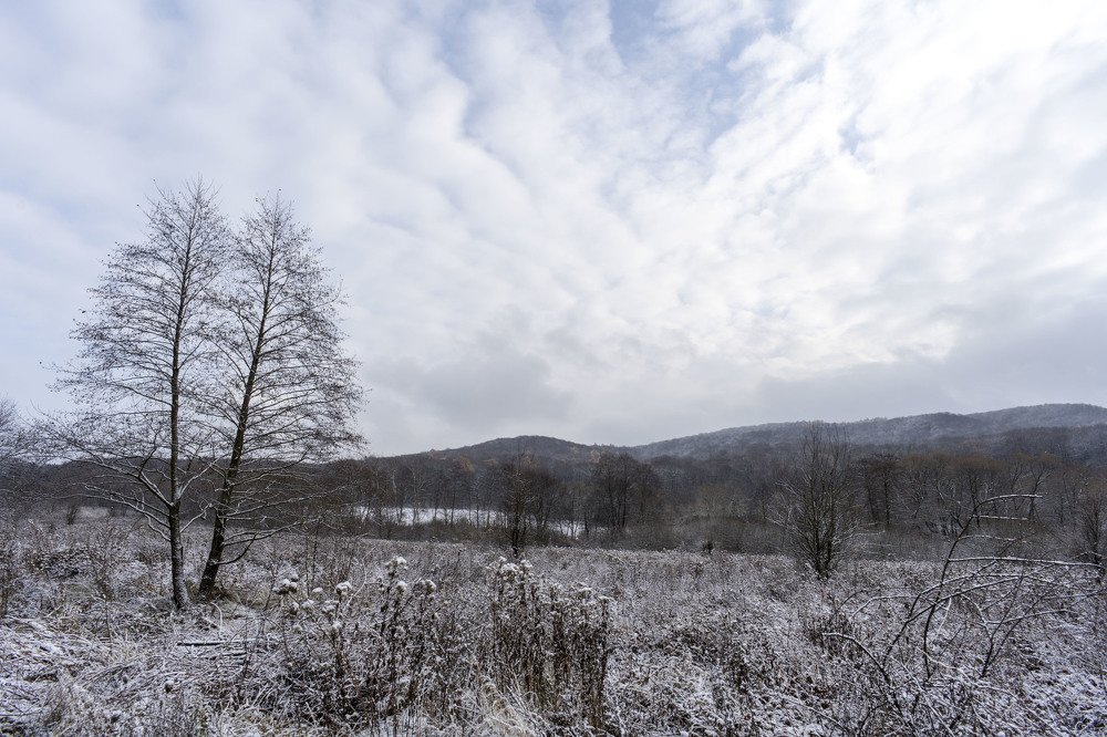 Photograph by Олесь