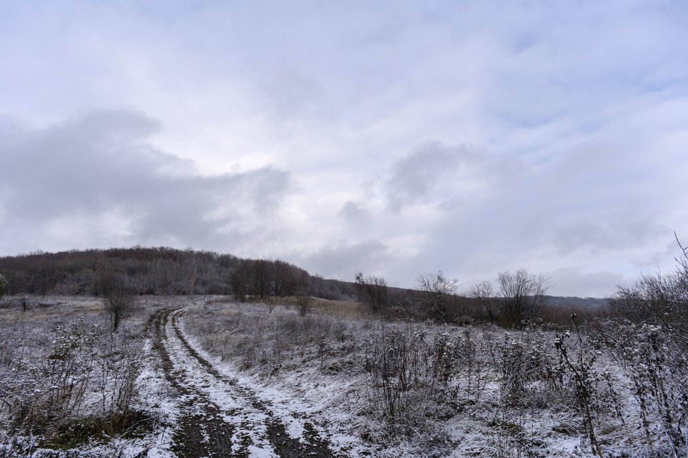 Photograph by Олесь