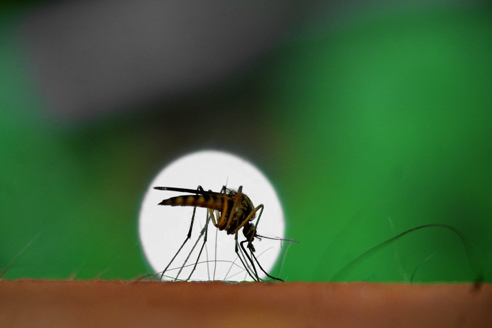 Photograph by вячеслав милов