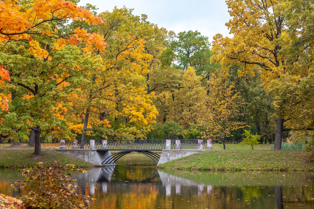 Государственный музей-заповедник Царское Село, Александровский сад