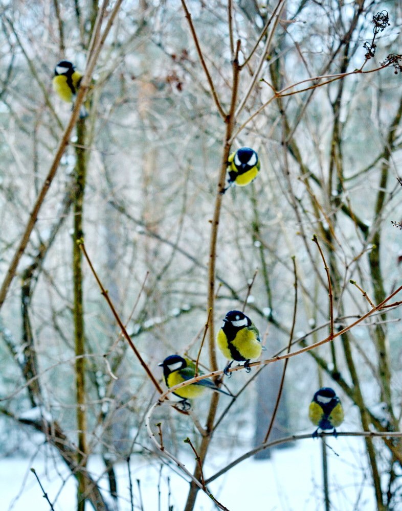 Photograph by вячеслав милов