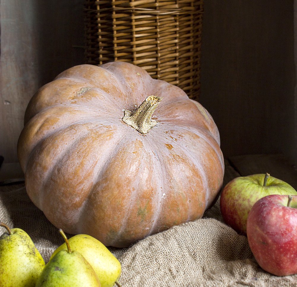 Photograph by Назим Оруджов