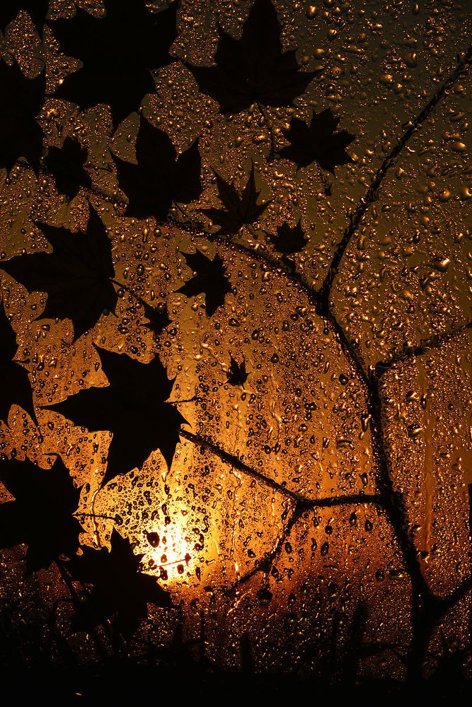 Photograph by Aeromast