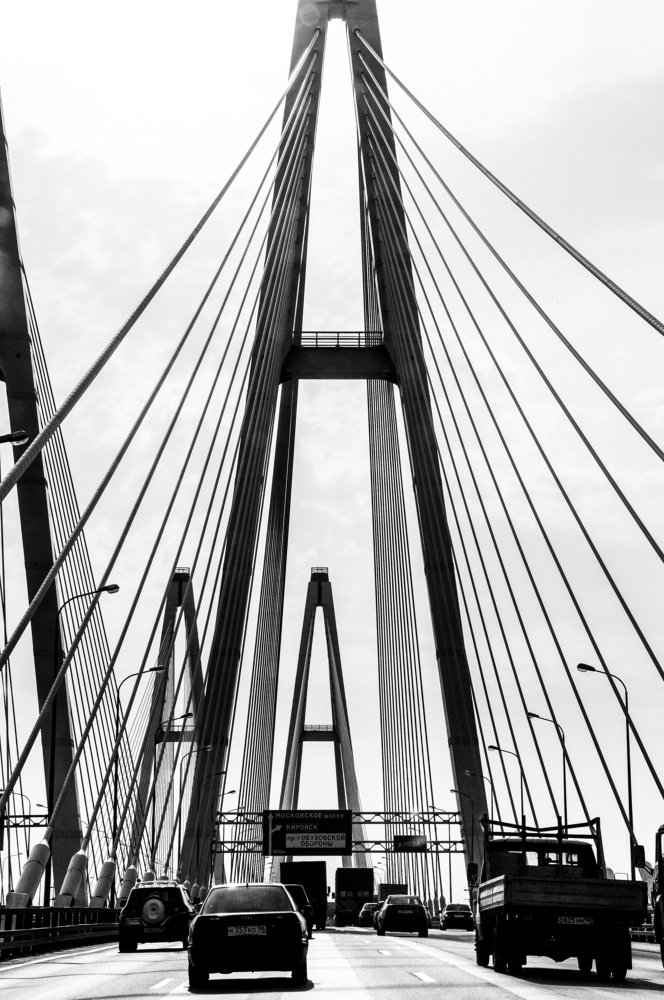 Photograph by Сафронова Любовь