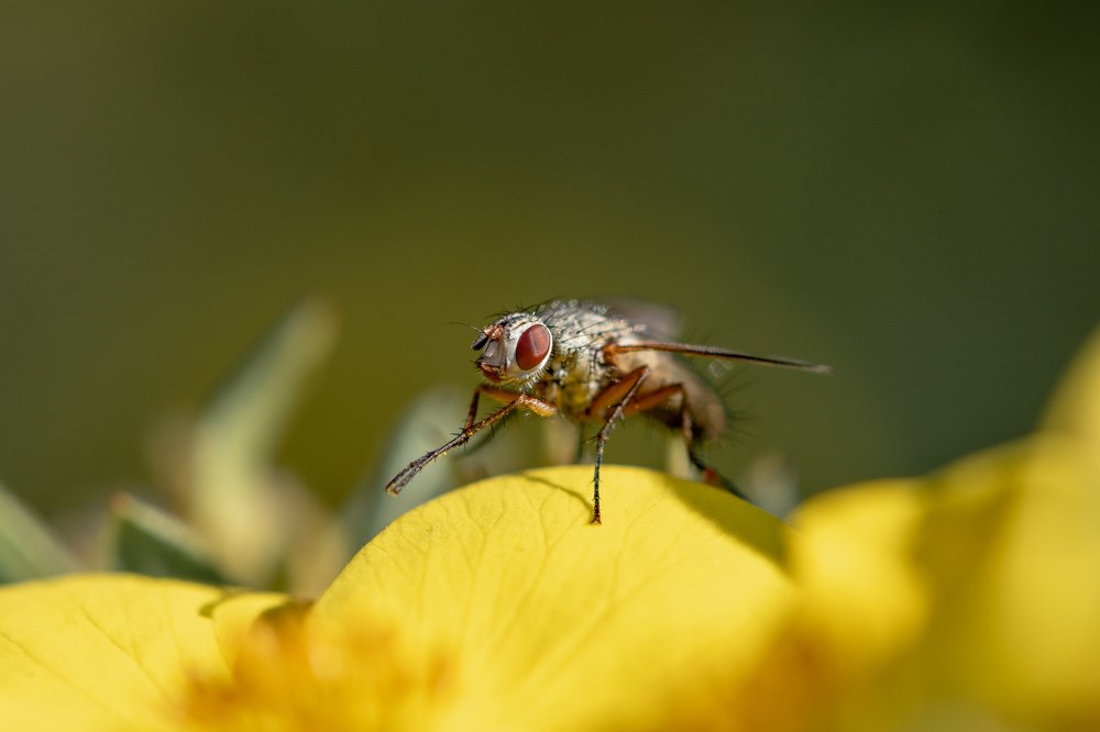 Photograph by Евгений