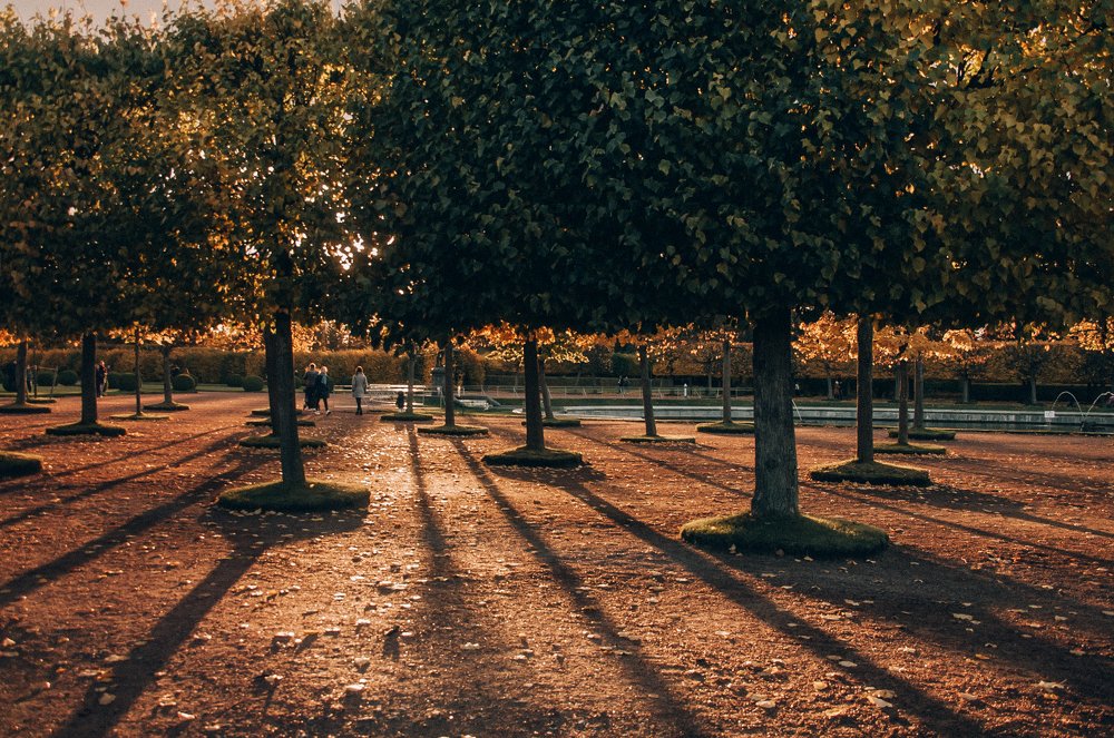 Photograph by Сафронова Любовь