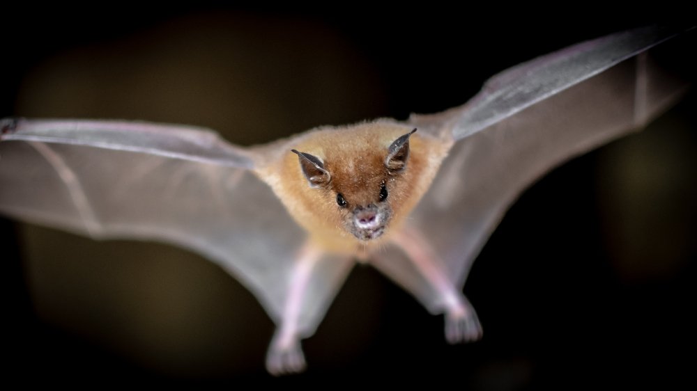 Photograph by Patrycja Sorensen