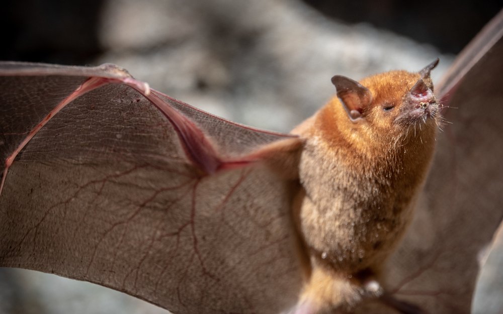 Photograph by Patrycja Sorensen