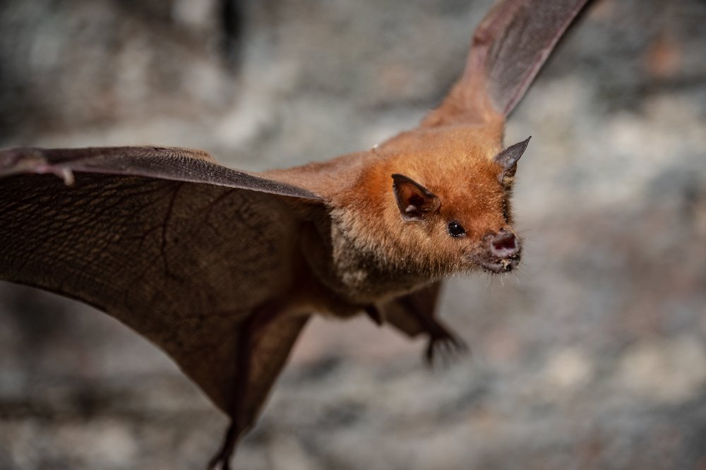 Photograph by Patrycja Sorensen