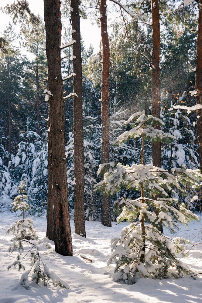 Photograph by Светлана Гок