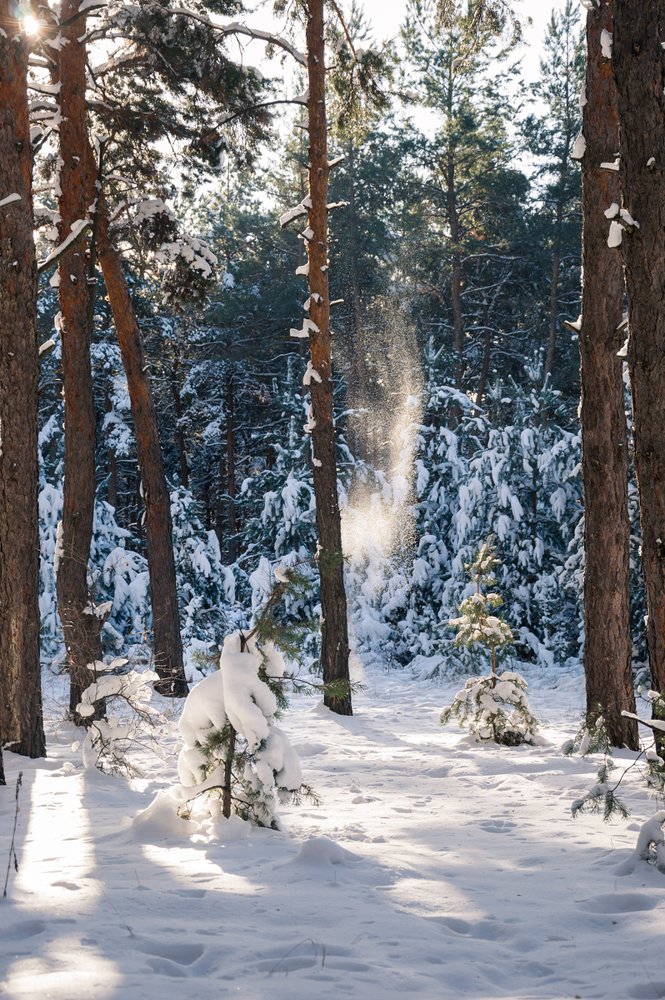 Photograph by Светлана Гок