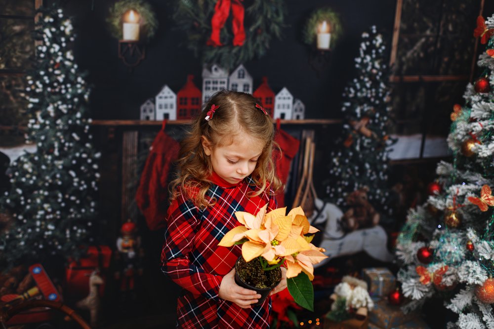 Фотография автора Summerlin