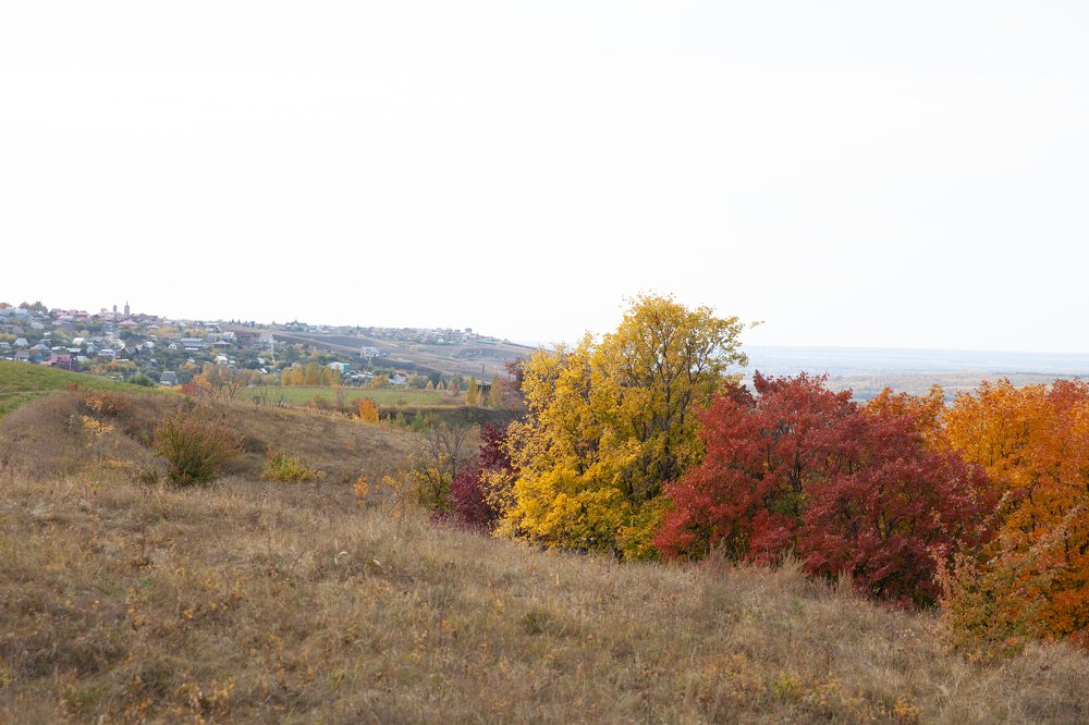 Photograph by Евгения Цой