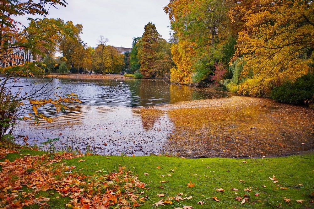 Осенний Дюссельдорф