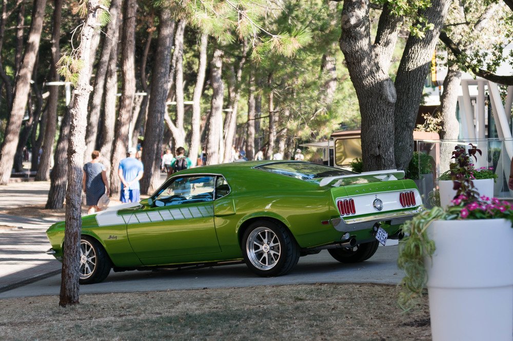 Зеленое чудо