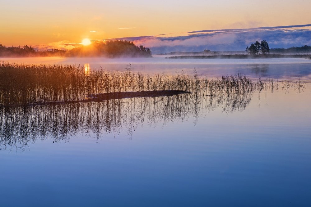 Photograph by Крицак Ольга