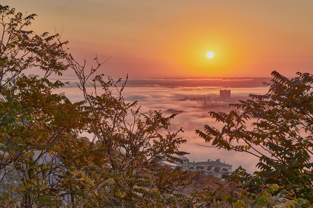 Утро туманное