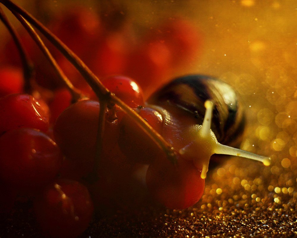 Photograph by Варвара