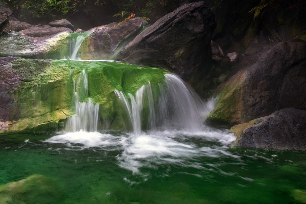 Photograph by Крицак Ольга