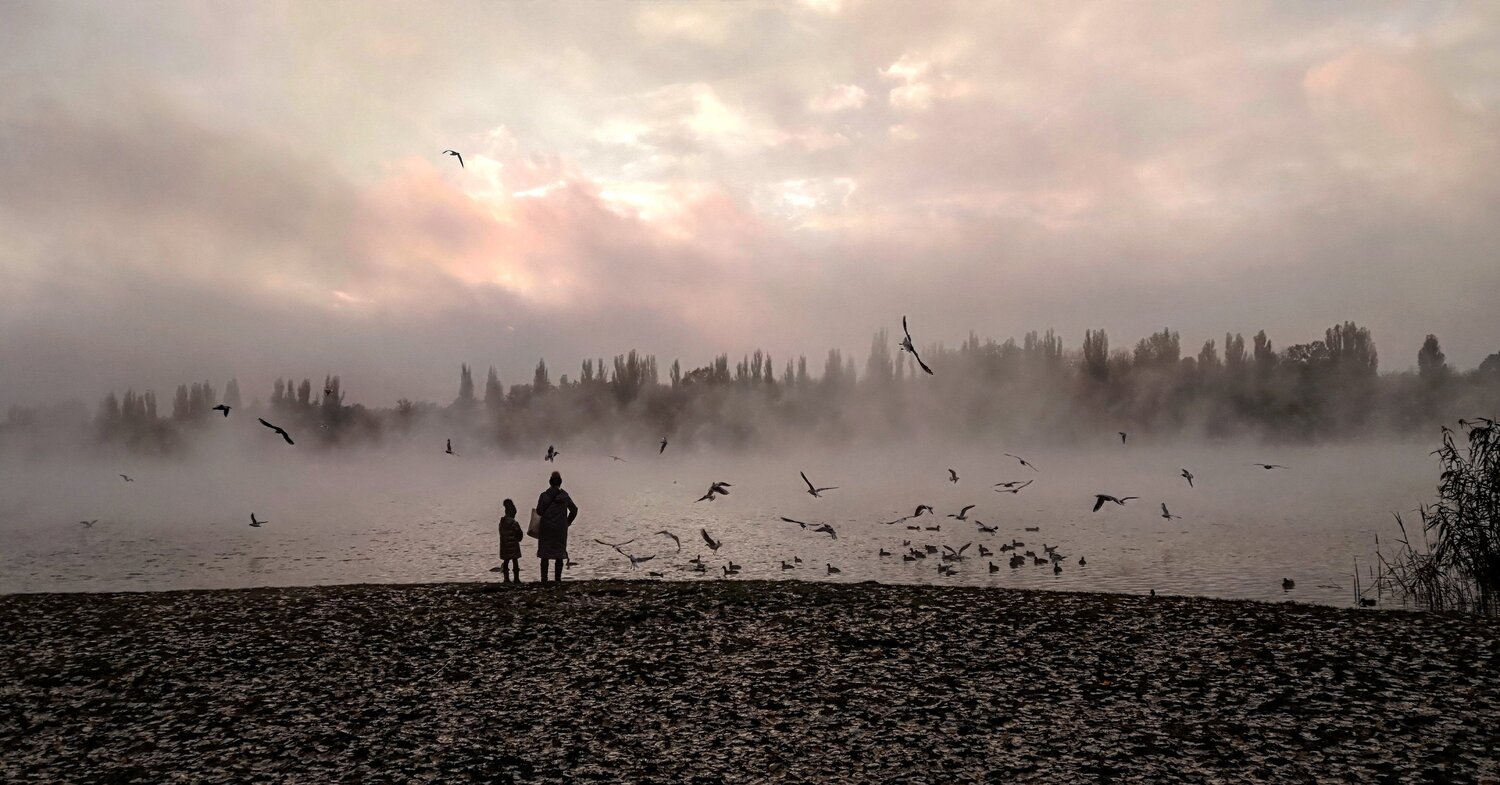 Photo #5357522