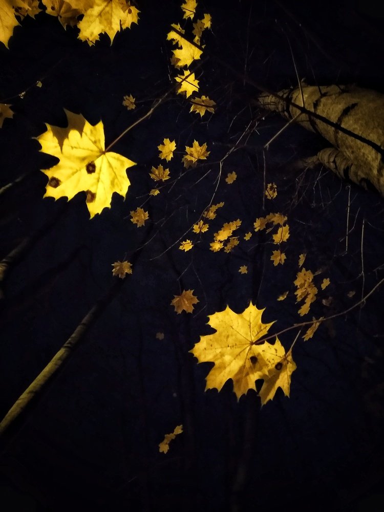 Photograph by Людмила М