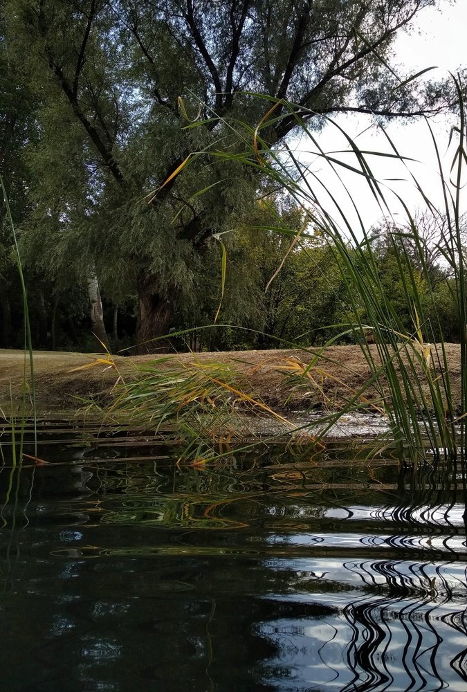 Photograph by Людмила М