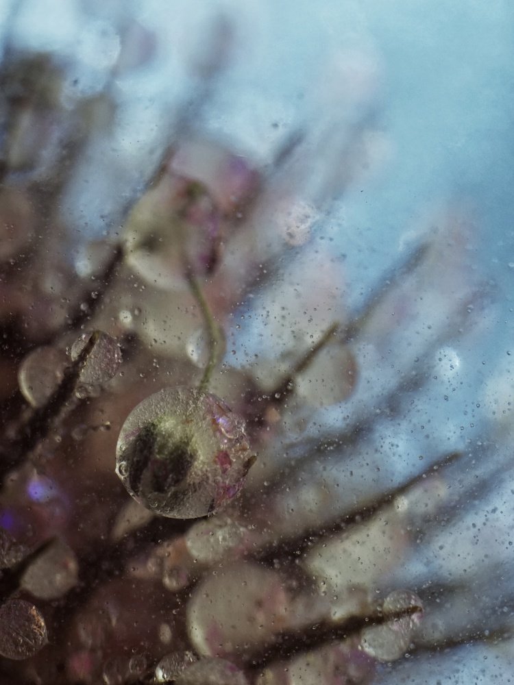 Photograph by Алеся Писнова