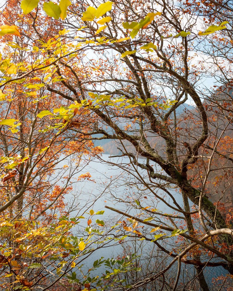 Photograph by Balog Francisc Sebastian