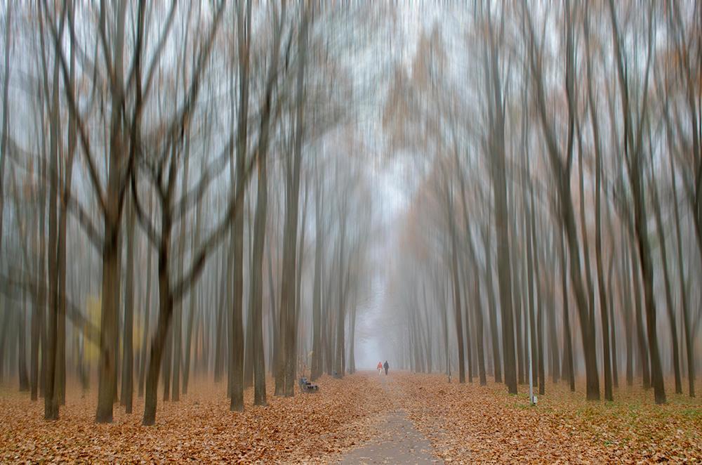 Тропа в неизведанное