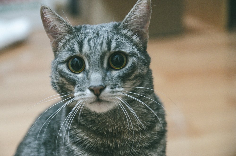 Photograph by Dmitry Malyarevich