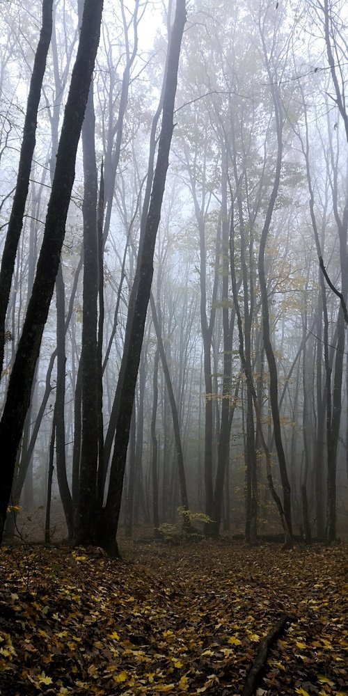 Photo #5357582