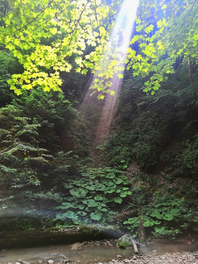 Photo #5357583