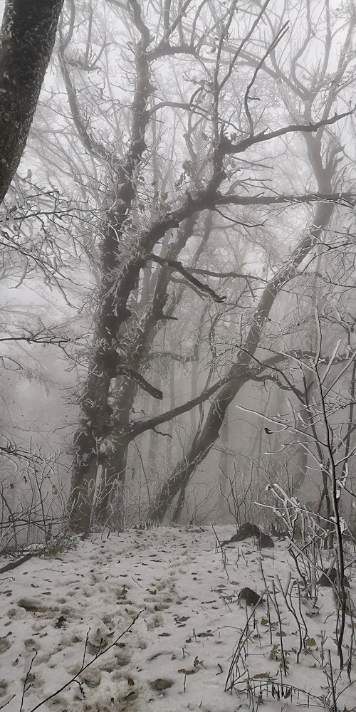 Photo #5357595