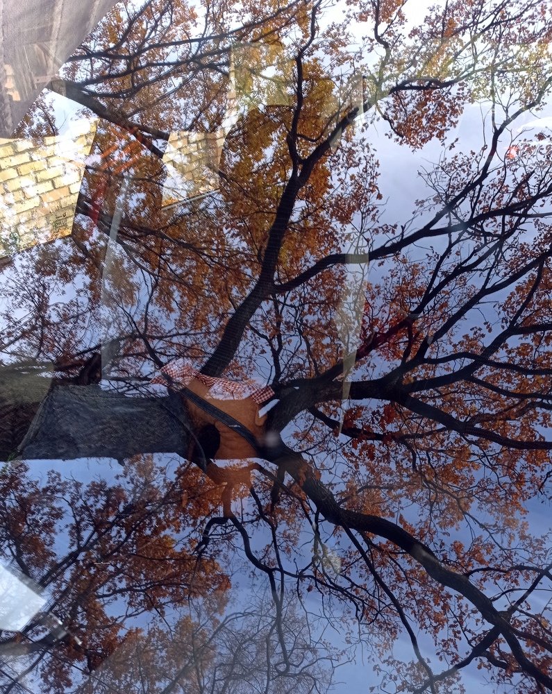 Photograph by Наталья Стальмакова